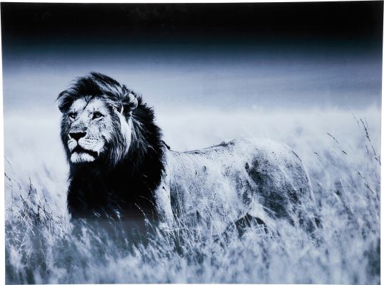 Картина на стекле Lion King Standing 120x160 см 35855 в Киеве купить kare-design мебель свет декор