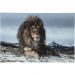 Картина на стекле Proud lion 120x180