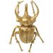 Настінна прикраса Atlas Beetle Gold 35.5 см.