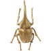 Настенный декор Herkules Beetle Gold 41см.