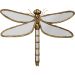 Настінна прикраса Dragonfly Mirror 71 см