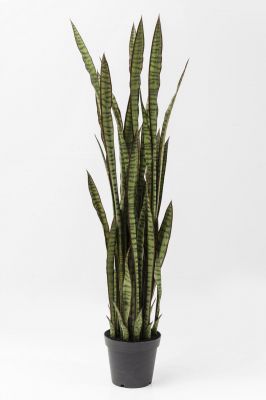 Штучна рослина Sansewieria 155 см. 60718 у Києві купити kare-design меблі світло декор