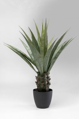Штучна рослина Agave 85cm 55915 у Києві купити kare-design меблі світло декор