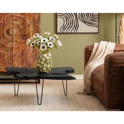 Столик журнальний фігурний KARE DESIGN Aspen, 100х40 см, (чорний) 85272 в Киеве купить kare-design мебель свет декор