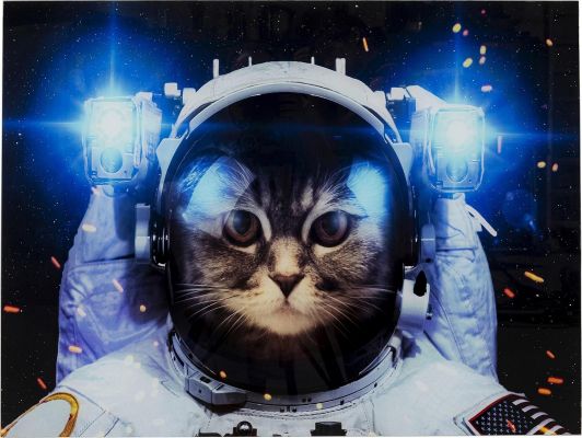 Картина на склі Cat in Space 80х60 52595 у Києві купити kare-design меблі світло декор