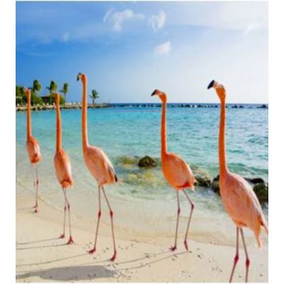 Flamingo 80 х 80 см 52562 у Києві купити kare-design меблі світло декор