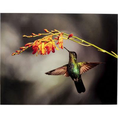 Картина на склі Cute Colibri 70х90 53088 у Києві купити kare-design меблі світло декор