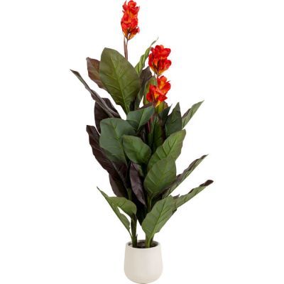 Штучна рослина Canna Lily 165cм, (зелений) 58433 в Киеве купить kare-design мебель свет декор