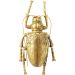Настінна прикраса Beetle Longicorn Beetle Gold 27см.