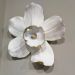 Настінна прикраса Orchid White 24x25см.