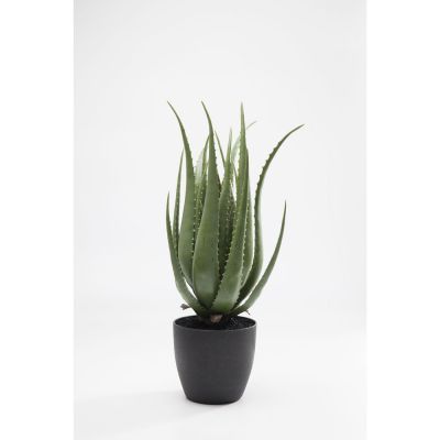 Искуственное растение Aloe 69cm 60724 в Киеве купить kare-design мебель свет декор