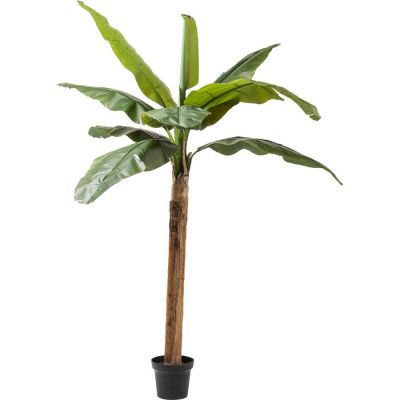 Штучна рослина KARE DESIGN Banana Tree, 190 см, (зелений) 60722 в Киеве купить kare-design мебель свет декор