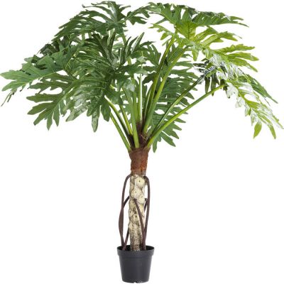 Штучна рослина KARE DESIGN Big Monstera, 175 см, (зелений) 61202 в Киеве купить kare-design мебель свет декор