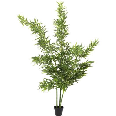 Штучна рослина KARE DESIGN Bamboo Tree, 200 см, (зелений) 64002 в Киеве купить kare-design мебель свет декор