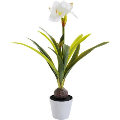 Штучна рослина KARE DESIGN Amaryllis, 78 см, (зелений) 51681 в Киеве купить kare-design мебель свет декор