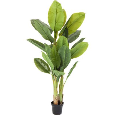 Штучна рослина KARE DESIGN Banana Tree, 180 см, (зелений) 64003 в Киеве купить kare-design мебель свет декор