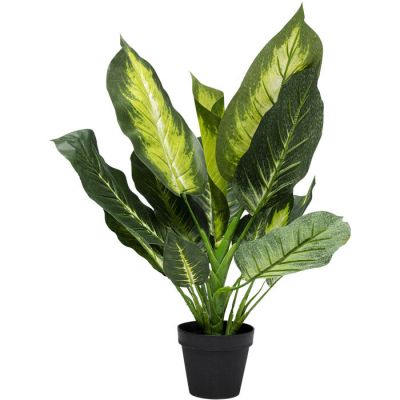 Штучна рослина KARE DESIGN Dieffenbachia, 50 см, (зелений) 51680 в Киеве купить kare-design мебель свет декор