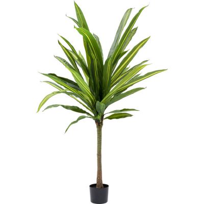 Штучна рослина KARE DESIGN Dracaena, 180 см, (зелений) 53072 в Киеве купить kare-design мебель свет декор