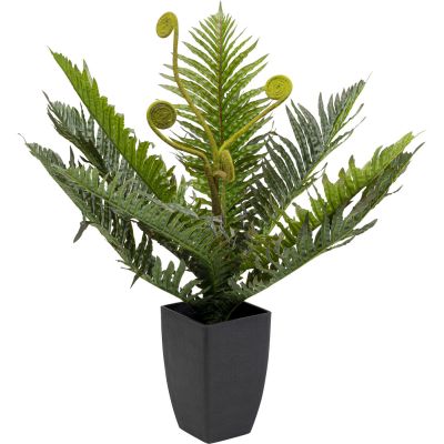 Штучна рослина Farn 55cm 55911 у Києві купити kare-design меблі світло декор