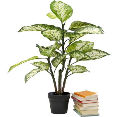 Штучна рослина KARE DESIGN Dieffenbachie, 100 см, (зелений) 55912 в Киеве купить kare-design мебель свет декор