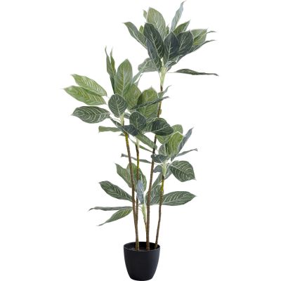 Штучна рослина Calathea 140cm 55914 у Києві купити kare-design меблі світло декор