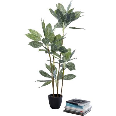 Штучна рослина KARE DESIGN Calathea, 140 см, (зелений) 55914 в Киеве купить kare-design мебель свет декор