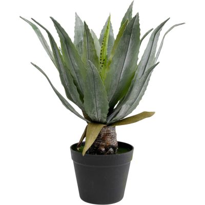 Штучна рослина Agave 40cm 55917 у Києві купити kare-design меблі світло декор