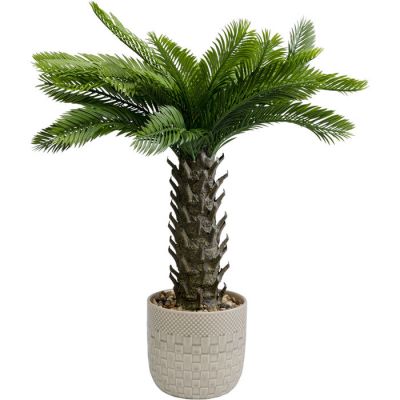 Штучна рослина KARE DESIGN Cycas, 70 см, (зелений) 55918 в Киеве купить kare-design мебель свет декор