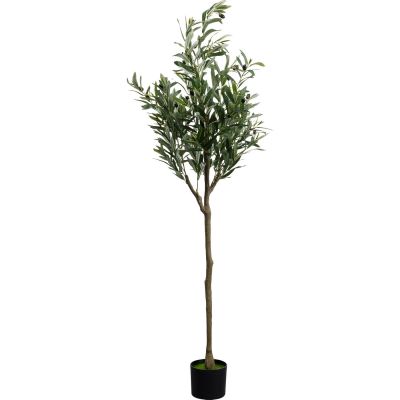 Декоративное растение Olive Tree 150cm 55924 в Киеве купить kare-design мебель свет декор