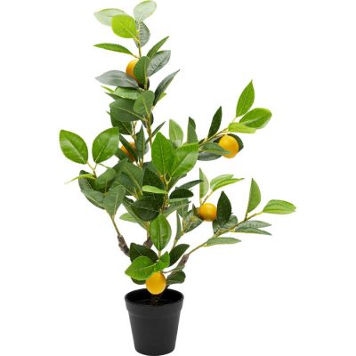 Декоративное растение Lemon Tree 60cm 56764 в Киеве купить kare-design мебель свет декор