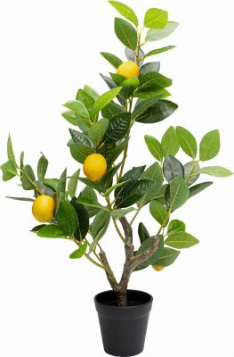 Декоративное растение Lemon Tree 60cm 56764 в Киеве купить kare-design мебель свет декор