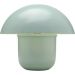 Настольная лампа Mushroom Mint 27cm