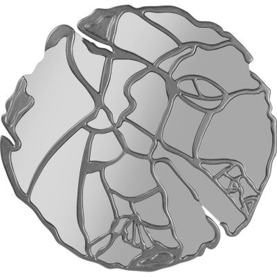 Дзеркало настінне фігурне KARE DESIGN Pieces Silver, d:100, (срібний) 85901 у Києві купити kare-design меблі світло декор