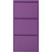 Шкаф для обуви Caruso 3 Purple (MO)