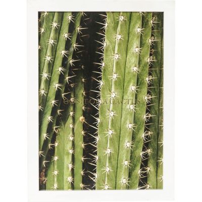Картина арт-табличка KARE DESIGN Cactus, 33х45 см 60385 в Киеве купить kare-design мебель свет декор