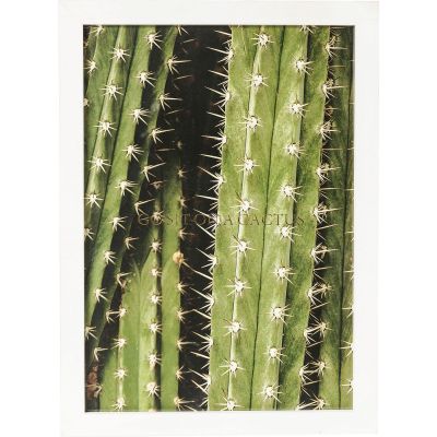 Арт-табличка в рамці Cactus 45х33 см. 60385 у Києві купити kare-design меблі світло декор